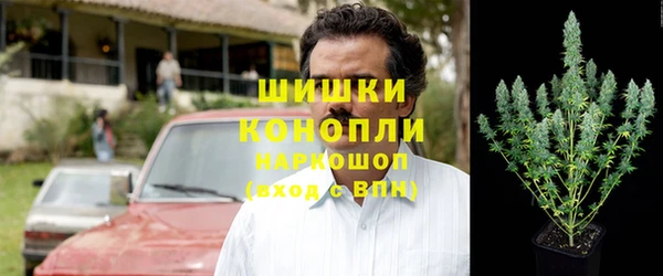ешки Бородино