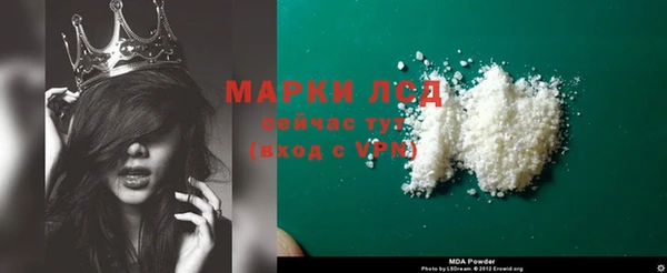 ешки Бородино