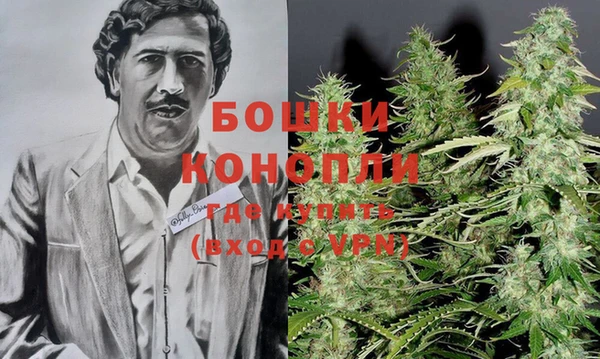 ECSTASY Бронницы