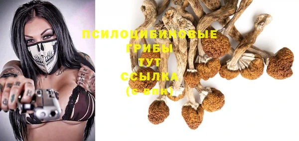 ешки Бородино