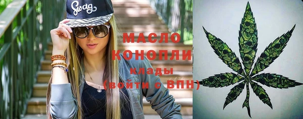 ешки Бородино