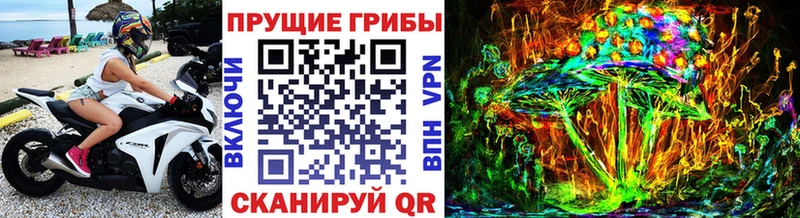 блэк спрут ссылки  что такое наркотик  Буй  Галлюциногенные грибы GOLDEN TEACHER 