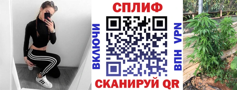 Шишки марихуана план Буй